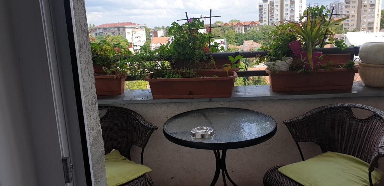 Apartmani Emerald Dream نوفي ساد المظهر الخارجي الصورة